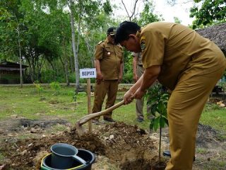 Pemkab Kulon Progo Dorong Desa Wisata Lemah Abang, Perkuat Ekonomi Lokal Berbasis Lingkungan