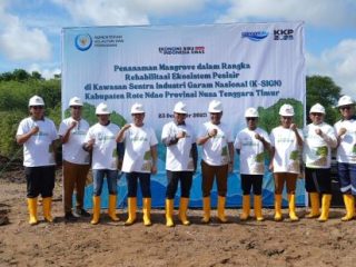 KKP Rehabilitasi Mangrove di Rote Ndao, Perkuat Kawasan Sentra Industri Garam Nasional